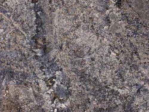 Countertop stone slab of Blue Flower Granite