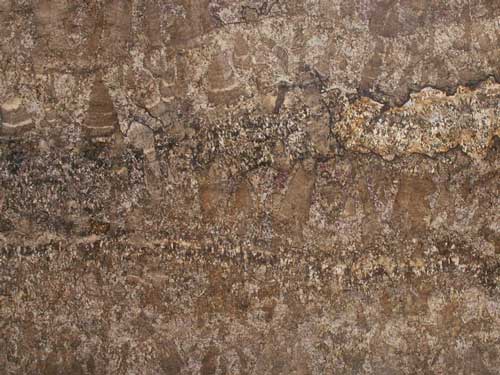 Countertop stone slab of Chocolate Bordeaux Granite