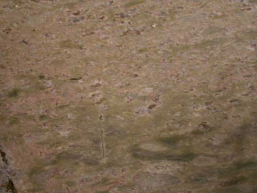 Countertop stone slab of Verde Meadow Granite
