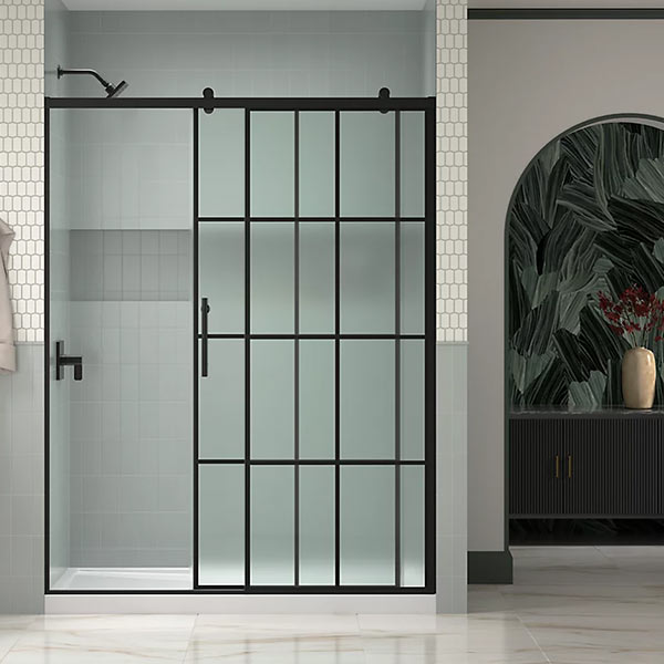 Shower Door